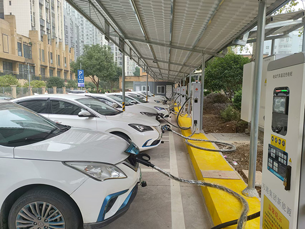 66557c3d3f328.jpg 打造綠色港口 守護(hù)碧水藍(lán)天2.jpg