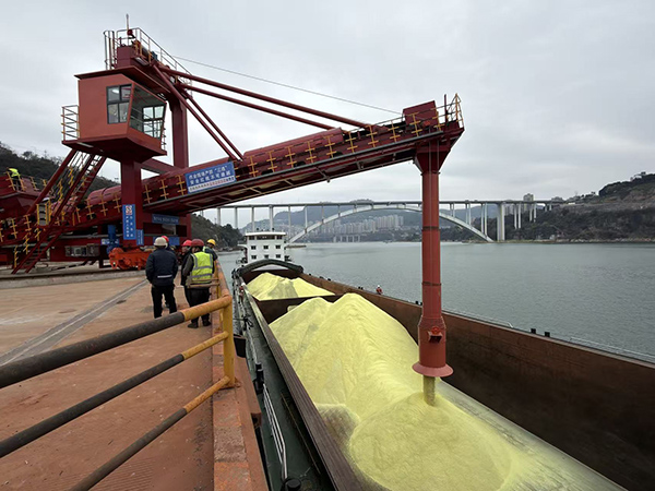 697b1bc2e960e.jpg 微信圖片_20260129143149_46_417.jpg